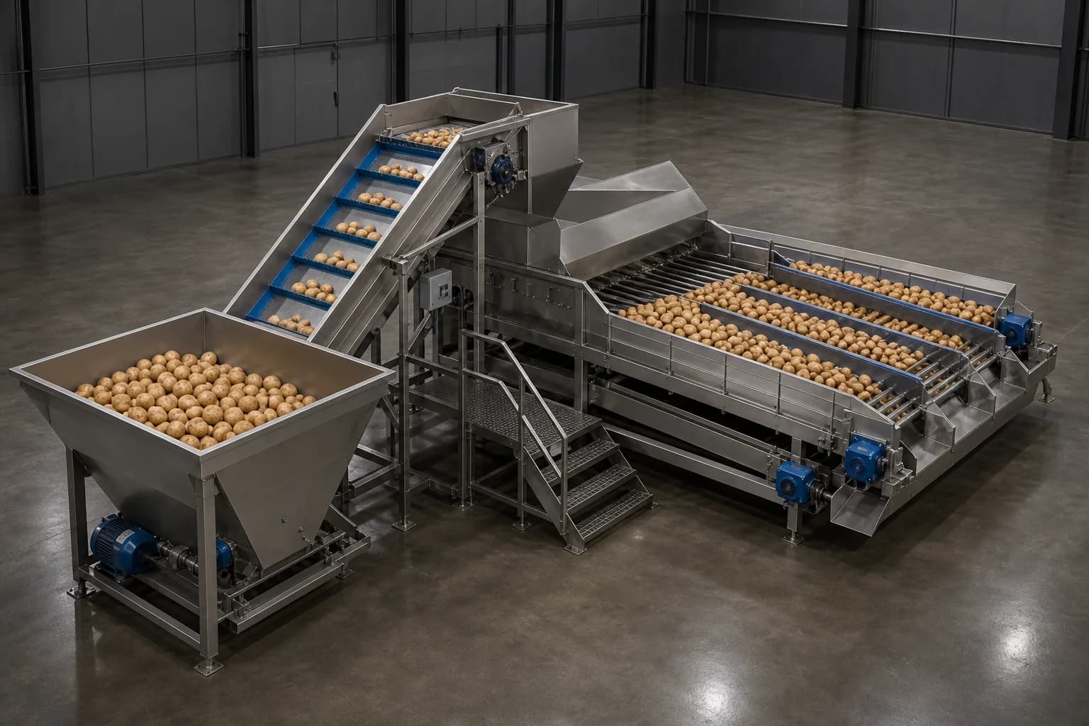 Surge hopper and roller grader separating potatoes by size